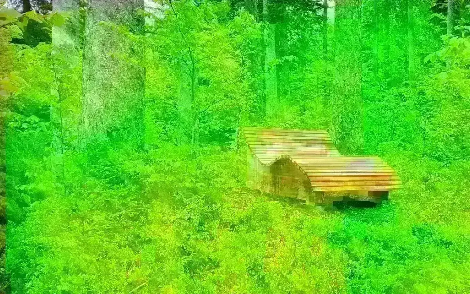Ruheinsel im Wald