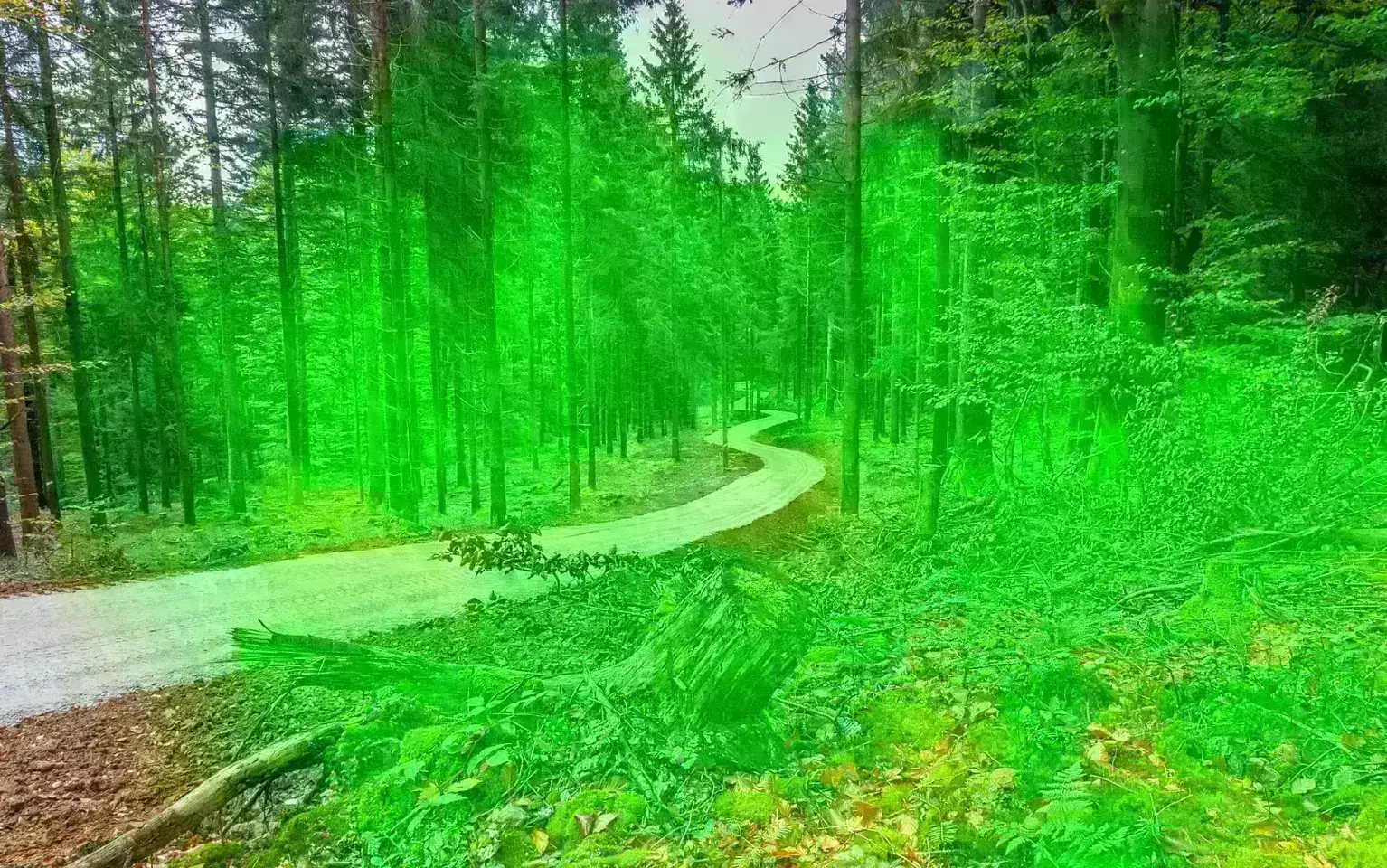 Geschotterte Wege